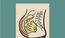 肚子变大漫画,幽默解读现代生活压力下的身体变化