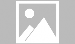 在线下载视频,在线视频内容深度解析